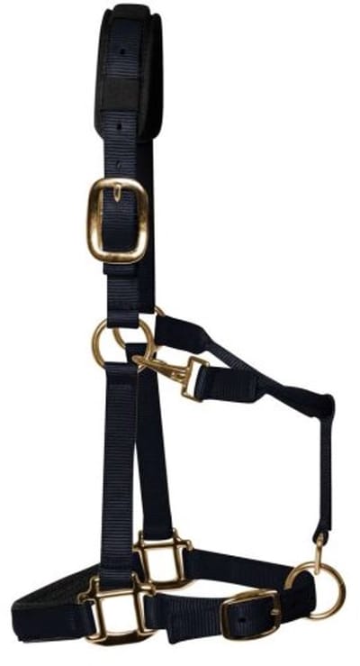 KM Elite - Luxe Gevoerde Halster – Zwart - Medium - Cob