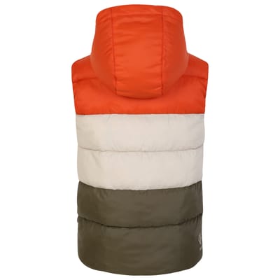 Regatta Kinder/Kinder Jolly Gewatteerd Gilet (Rooibosthee/Lichtgroen)