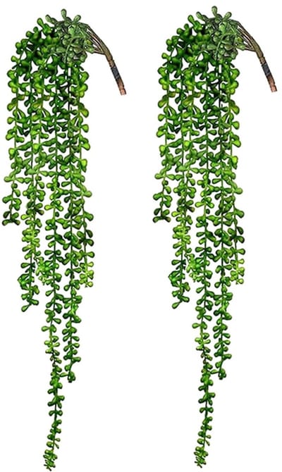 Dailygoods- Parelsnoer Kunstmatige Vetplanten - 2 Stuks - Muurdecoratie - Bruiloft Decoratie - Indoor/Outdoor - Duurzaam PVC+PE - Nepplant