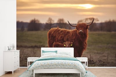Behang - Fotobehang Schotse hooglander - Dieren - Landschap - Zonsondergang - Koe - Breedte 360 cm x hoogte 240 cm