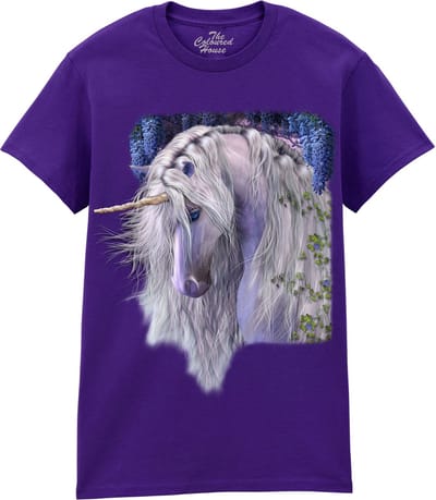 Eenhoorn Moonlight Serenade The Coloured House T-shirt M
