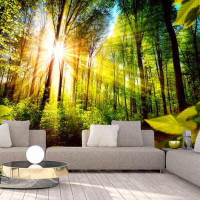 98cm X 70cm - Zelfklevend fotobehang -  Verstop plek in het bos  , Premium Print