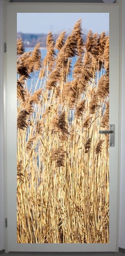Deurposter 'Riet' - deursticker 75x195 cm