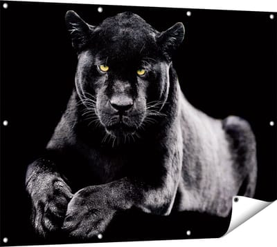 Gards Tuinposter Zwarte Panter - 120x90 cm - Tuindoek - Tuindecoratie - Wanddecoratie buiten - Tuinschilderij
