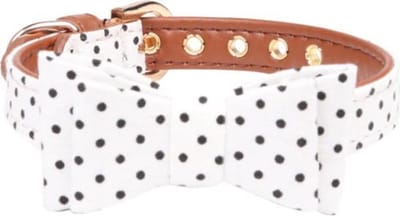 Halsband Hond - verstelbaar - leiband motief - katoen - stevig - huisdieren - stippen - strikje - 37 tot 43cm - maat L - Wit