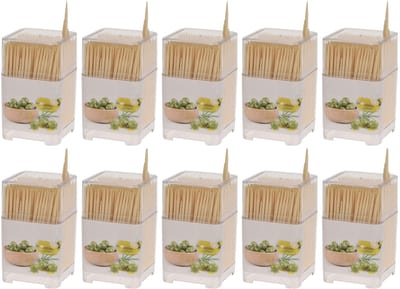 Dailygoods- Tandenstoker - Onbehandeld Hout - 450 Stuks - Duurzaam - Perfect voor Hapjes/Knutselen - Milieuvriendelijk - Spiesjes