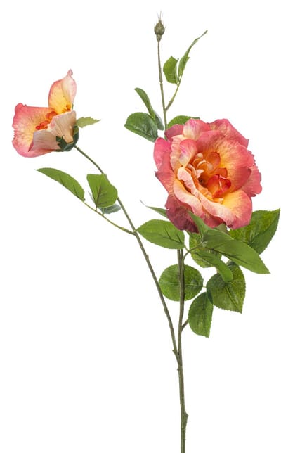 Rose liza spray x3 peach 80 cm Emerald