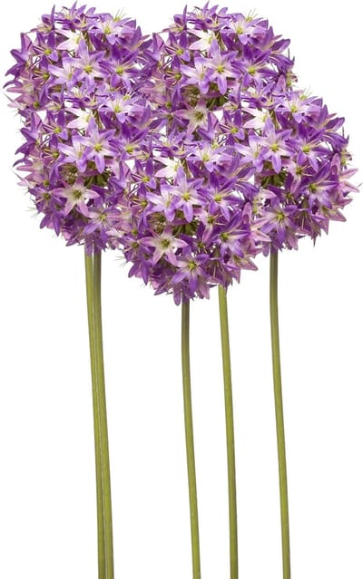 Emerald Allium/Sierui kunstbloem - 5x - losse steel - paars - 60 cm - Natuurlijke uitstraling