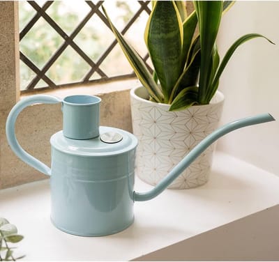 Indoor Gieter Blue Sky 1L - Roestbestendig Gegalvaniseerd - Handvat en Lange Tuit - Klassiek Tuingereedschap - Staal