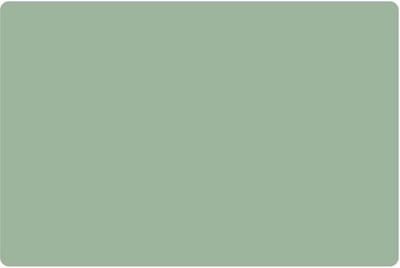 Placemats Set van 4 – Uni Mintgroen – 30x45 cm – Antislip – Afwasbaar Kunststof – Onderlegger & Tafeldecoratie