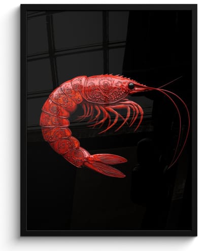 Poster in lijst - Fotolijst 50x70 cm - Posters - Garnaal - Rood - Dieren - Posterlijst zwart - Decoratie - Wanddecoratie woonkamer - Muurdecoratie slaapkamer