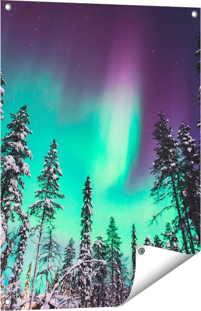 Gards Tuinposter Noorderlicht in de Bossen van Noorwegen - 60x80 cm - Tuindoek - Tuindecoratie - Wanddecoratie buiten - Tuinschilderij
