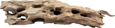 Aqua D'ella Honingraathout bruin aquarium en terrarium decoratie M - +/-28-42cm