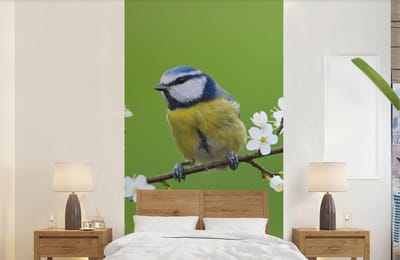 Behang - Fotobehang Pimpelmees - Tak - Bloemen - Bloesem takken - Vogel - Breedte 120 cm x hoogte 240 cm