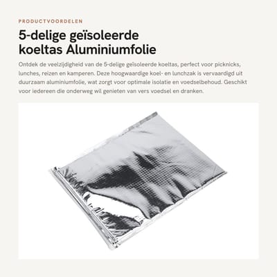 Dailygoods- Koeltas Geïsoleerd - Aluminiumfolie - Voor Picknick/Lunch/Reizen - Duurzaam - Voedselbehoud - 25x30cm - Lunchbox