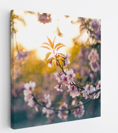 Saammp Canvas Schilderij - Bloemen in zonsopgang - Natuur - 20x20 - Foto op canvas - Wanddecoratie - Muurdecoratie Woonkamer - Kantoor Decoratie