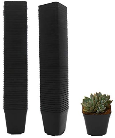 Kwekerij Potten Vierkante Plantenpot 100 stuks Duurzame Balck Starter Container voor het starten van zaailingen of vetplanten (6,5 cm)