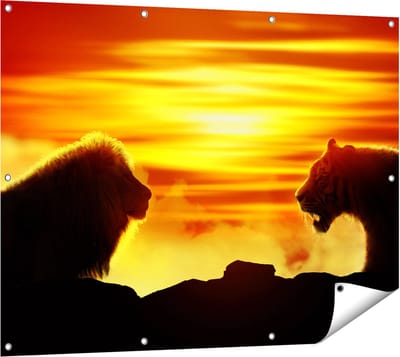 Gards Tuinposter Leeuw en Tijger - Silhouet - Zonsopkomst - 120x90 cm - Tuindoek - Tuindecoratie - Wanddecoratie buiten - Tuinschilderij