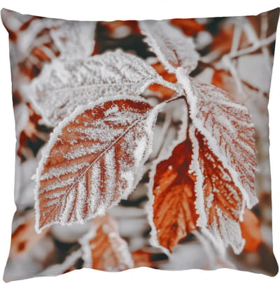 Sierkussens - Kussentjes Woonkamer - 50x50 cm - Bladeren - IJs - Winter - Natuur
