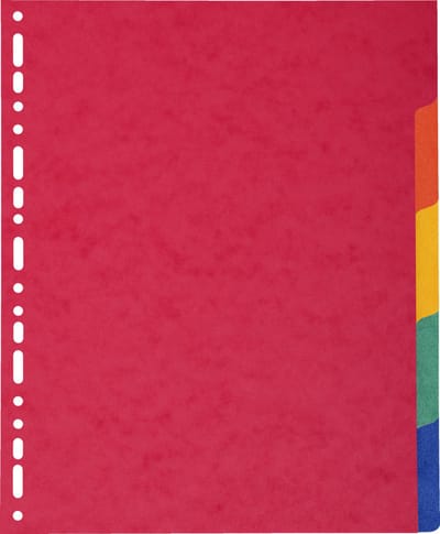 Exacompta 2405E 25x INTERCAL.CARTE LUSTR