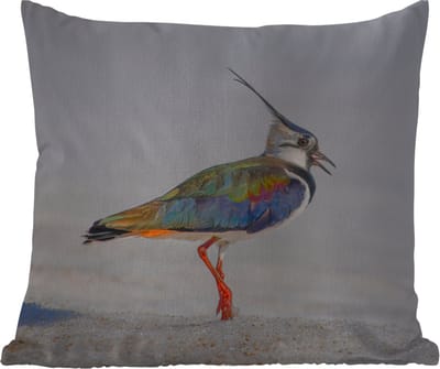 Tuinkussen - Vogel - Dieren - Zand - Kievit - 40x40 cm - Weerbestendig