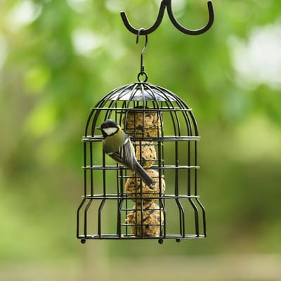 CJ Wildlife Vetbolhouder voor Vogels - Milan - Mezenbolhouder met Beschermkooi - Veilig eten voor Kleine Tuinvogels - Voor 4 vetbollen - Zwart