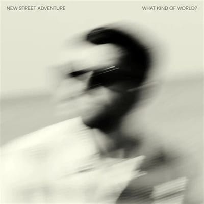 New Street Adventure Feat. Nick Cor - What Kind Of World (LP)