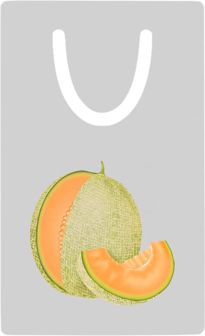 Hacebo® - Galia meloen metalen boekenlegger - Fruitschaal - Fruit liefhebbers - Zomerfruit - gezond eten - vrucht Bladwijzer boekenleggers - 7.6 cm x 5cm