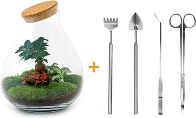 Green Harmony | DIY terrarium - Drop XL -  37 cm