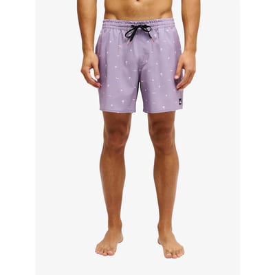 Surf shorts Quiksilver Stretch Printed