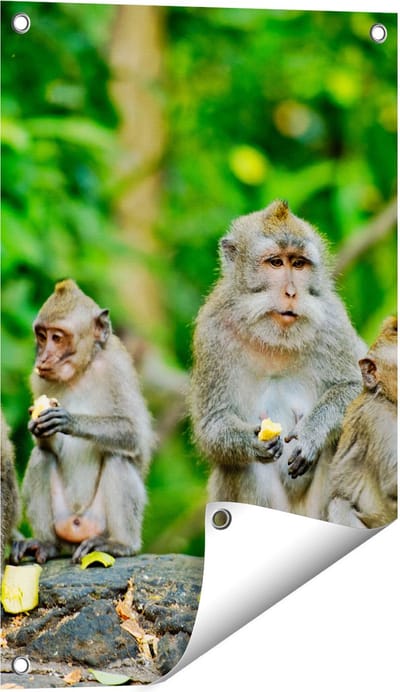 Gards Tuinposter Groep Apen Eten Bananen in het Bos - 40x60 cm - Tuindoek - Tuindecoratie - Wanddecoratie buiten - Tuinschilderij