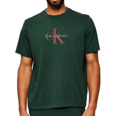 T-shirt Korte Mouw Calvin Klein Jeans Hero