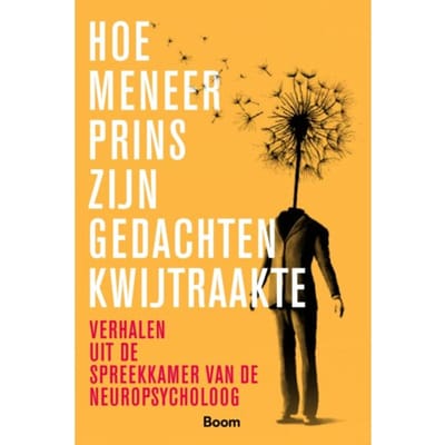 Hoe Meneer Prins Zijn Gedachten Kwijtraakte - Helen Anema