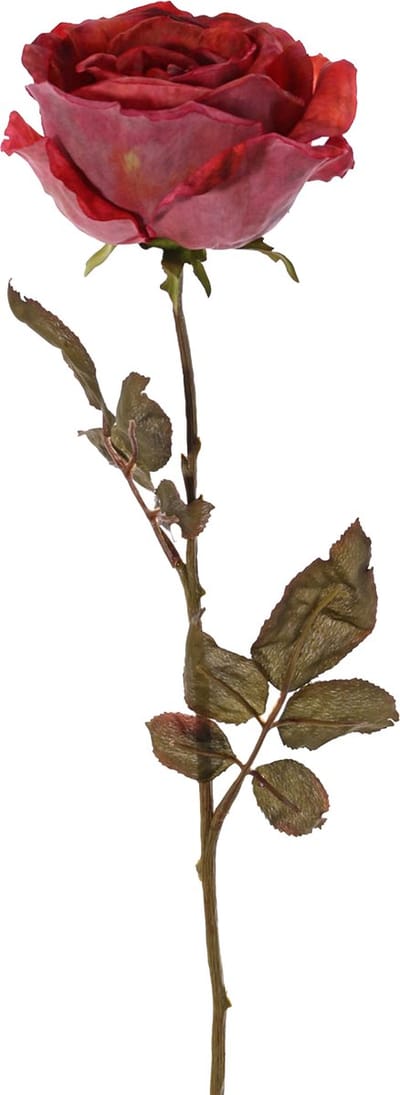 Top Art Kunstbloem roos Calista - rood - 66 cm - kunststof steel - decoratie bloemen