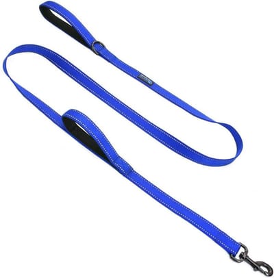 Dubbele Handgreep Hondenriem - Verkeersriem Hond - Veilige Hond Wandelingen - Reflecterende Naden - 4 FT - Blauw