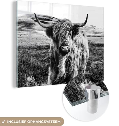 MuchoWow® Glasschilderij 120x90 cm - Schilderij acrylglas - Zwart - Wit - Schotse Hooglander - Gras - Foto op glas - Schilderijen