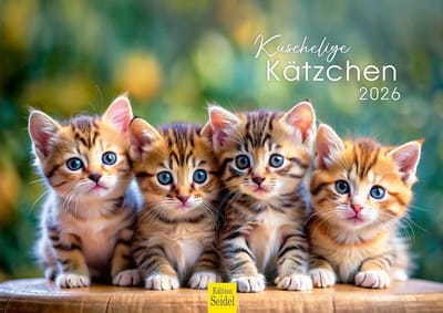Wandkalender 2026 Katten & Kittens DIN A4 - Maandkalender met Schattige Huisdieren