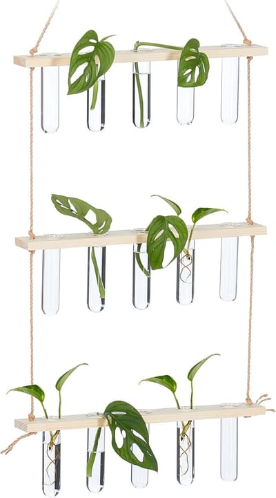 Stekstation met 15 reageerbuisjes - Ophangbaar - Hout - met borsteltje - Stek Station - Glaasjes - Vaasjes - Stekjes - Bloemen