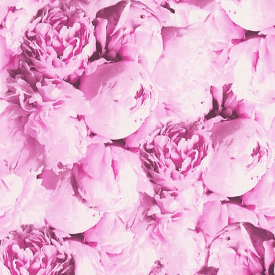 Bloemen behang Profhome 373981-GU vliesbehang glad met bloemen patroon mat roze 5,33 m2