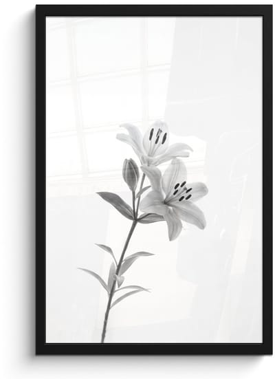 Poster in lijst - Fotolijst 40x60 cm - Posters - Lelies - Elegant - Zwart - Wit - Posterlijst zwart - Decoratie - Wanddecoratie woonkamer - Muurdecoratie slaapkamer