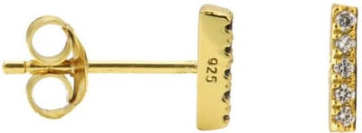 Karma Oorbellen Zirconia Tube Goud