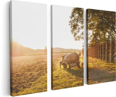Artaza Canvas Schilderij Drieluik Varken Familie - Varkens - 120x80 - Foto Op Canvas - Canvas Print