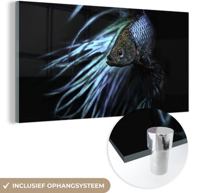 MuchoWow® Glasschilderij 40x20 cm - Schilderij acrylglas - Vis - Staart - Zwart - Foto op glas - Schilderijen