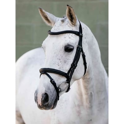 Hoofdstellen voor paarden LeMieux Arika