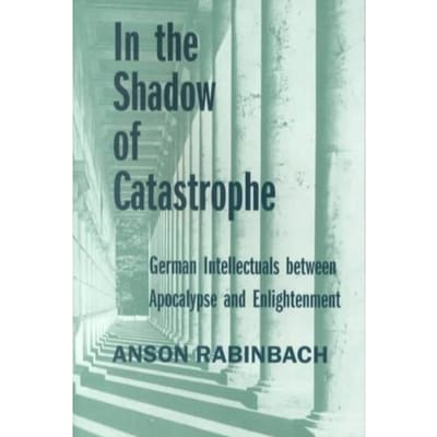 In The Shadow Of Catastrophe - Anson Rabinbach