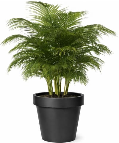 Mega Collections Plantenpot/bloempot - kunststof - zwart - buiten - D40 x H35 cm