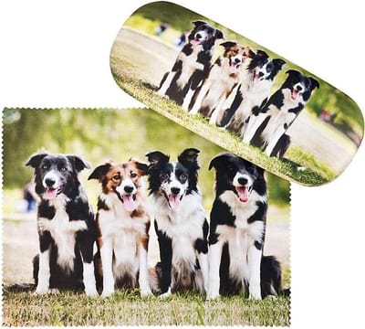 Brillenetui Honden - Huisdieren Etui - Brillen Beschermen - Stabiele Hardcase - 16 x 6.5 x 4.5 cm - Meerdere Honden