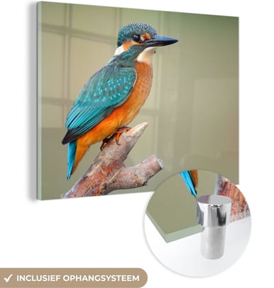 MuchoWow® Glasschilderij 40x30 cm - Schilderij acrylglas - Vogel - IJsvogel - Tak - Foto op glas - Schilderijen