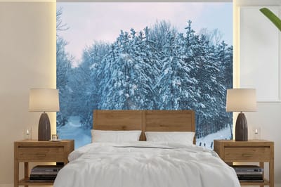 Behang - Fotobehang Bos - Sneeuw - Winter - Breedte 350 cm x hoogte 350 cm