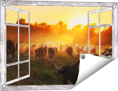 Gards Tuinposter Doorkijk Kudde Koeien in Weiland bij Zonsondergang - 60x40 cm - Tuindoek - Tuindecoratie - Wanddecoratie buiten - Tuinschilderij
